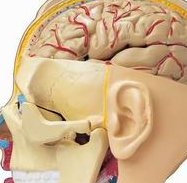 重庆助孕机构哪家值得信赖？精选推荐及详细介绍