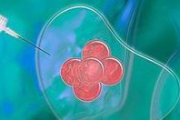 上海第三代试管医院哪家好？看看这几家