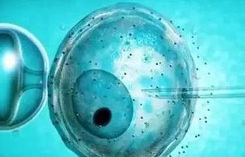 2026年想去合山市做试管婴儿需要准备哪些事？详细收费明细一览