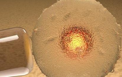 皖北总医院试管婴儿成功率大起底，安徽省宿州市的生育希望之地