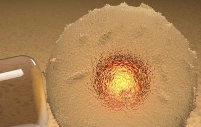 第三代试管婴儿总共花费多少钱？附价格表三代试管婴儿